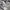 Vintage Streetwear T-shirt Pria gray photo 7