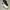 NIKE AIR MAX AP ' WHITE BRIGHT CRIMSON BLACK' photo 2