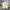 Polo shirt Fred Perry Made In England photo 1