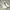 REEBOK RESONATOR MID 'GREY' photo 1