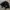 ZARA RAMONES LEATHER JACKET | BIKER | ARTIS | ROCKSTAR photo 4