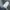 The North Face Gorpcore Windbreaker Pria navy photo 5