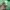 SCOTCH & NODA AMSTERDAM COUTORE  GREEN PAISLEY/FLORAL CREWNE photo 4