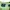 SCOTCH & NODA AMSTERDAM COUTORE  GREEN PAISLEY/FLORAL CREWNE photo 3