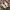 Asics gel fux 4 photo 1