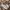 Asics gel fux 4 photo 3