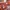 Asics gel fux 4 photo 5
