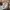 Asics gel fux 4 photo 4