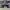 ADIDAS CAMPUS BLACK WHITE , ADIDAS CAMPUS , ADIDAS , SNEAKER photo 3