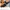 ADIDAS CAMPUS BLACK WHITE , ADIDAS CAMPUS , ADIDAS , SNEAKER photo 9