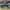 ADIDAS CAMPUS GREEN GOLD STRIP , ADIDAS CAMPUS GREEN , ADIDA photo 3