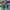ADIDAS CAMPUS GREEN GOLD STRIP , ADIDAS CAMPUS GREEN , ADIDA photo 2