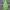 Y2K Grunge Cami top Wanita green photo 2