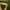 ZARA Dark Green Cropped Jumpers photo 4