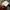 Streetwear Sportswear Parka Pria green photo 5