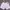 Minimalist Short Pria pink photo 7