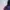 Kolon Sport Sportswear Windbreaker Pria navy blue photo 6