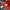 Quietist Double Big Pocket Work Jacket Mix Materials photo 6