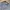 ADIDAS 12Y photo 2