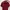 Casual T-shirt Wanita Burgundy Red