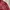 Avirex Casual Bomber jacket Pria burgundy photo 6