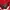 Streetwear Sportswear Hoody Pria red photo 5