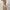 Luxury Minimalist Wanita tan orange cream photo 3