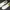 Adidas Streetwear Casual Sneakers Pria white photo 7