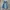 Akademiks baggy jorst y2k photo 1
