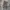 Dickies baggy jeans carpenter photo 1
