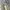 Streetwear Sportswear Jumper Pria Green