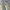 Streetwear Sportswear Jumper Pria green photo 6