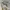 Streetwear Sportswear Jumper Pria green photo 7
