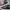Converse CTAS X The Ramones "heyholetsgo" photo 5