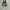 Adidas X9000 4D photo 2