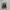 Adidas X9000 4D photo 3
