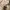 Adidas Casual Casual shoe Pria brown photo 2