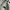 Vision Street Wear Vintage Streetwear T-shirt Pria gray photo 4