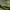 Sportswear Jersey Pria green photo 2