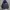 Hoodie Polo Ralph Lauren photo 1