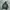 Hoodie coro photo 2