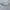 Oakley Shovel Titanium Frame Eyeglasses  photo 1