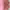 Kemeja Pink Dusty dengan Kerah Ruffle photo 2