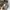 Ethnic Brown Knit Sweater photo 6