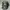 Topi New Era 9FORTY New York Yankees “NY” Logo Camouflage Ad