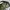 Topi New Era 9FORTY New York Yankees “NY” Logo Camouflage Ad photo 10