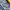 Salomon XT-6 Goretex photo 6