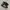 Adidas Superstar photo 1