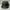 Topi Thrasher Magazine 5 Panel Camouflage Hat Adjustable Sec photo 4