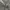 H&M TACTICAL MILITARY  JACKET  | M65 | TRUCKER photo 7